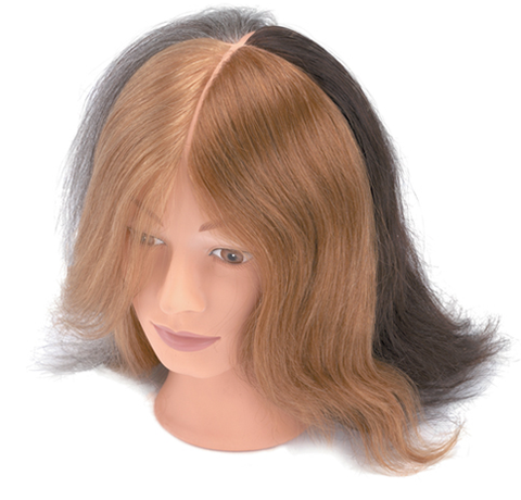 BaByliss Pro Deluxe 4 Colour Female Mannequin | Absolute Beauty Source