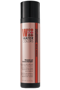 Tressa Watercolors Color Maintenance Shampoo | Absolute Beauty Source