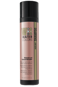 Tressa Watercolors Color Maintenance Shampoo | Absolute Beauty Source