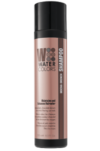 Tressa Watercolors Color Maintenance Shampoo | Absolute Beauty Source